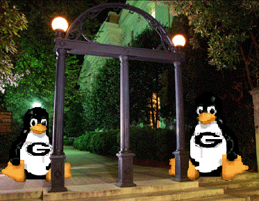 UGA Arch at Night